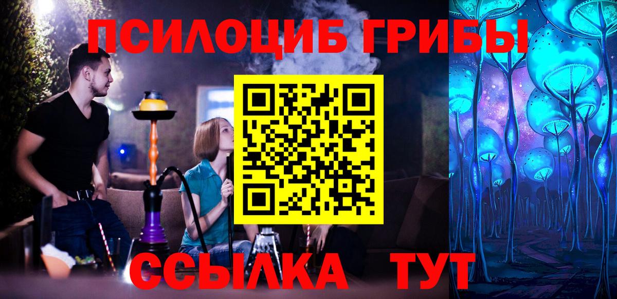 Ангарск  наркота  Вход с VPN  Псилоцибиновые грибы MAGIC MUSHROOMS  Галлюциногенные грибы Psilocybe 